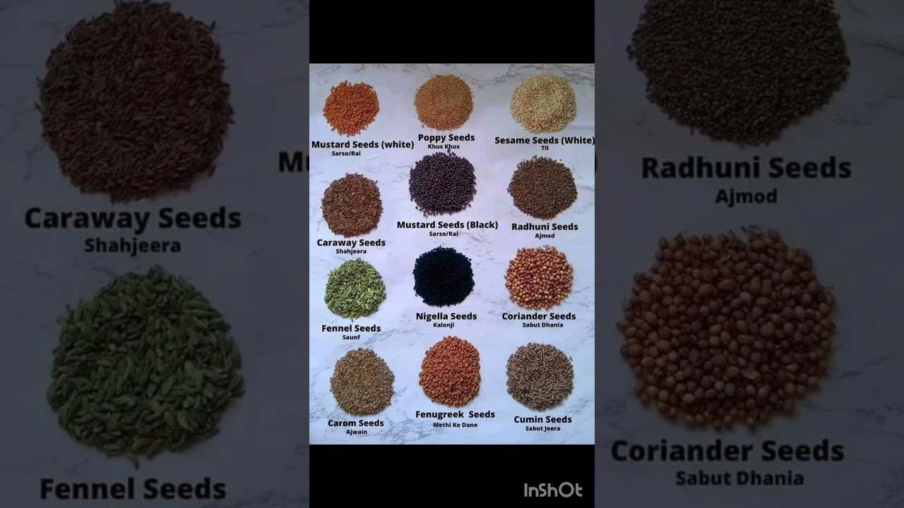 Different types of seeds