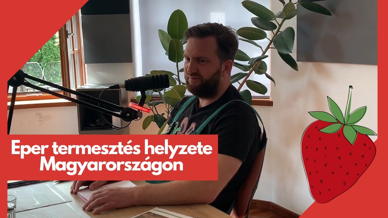 Eper termesztés helyzete Magyarországon