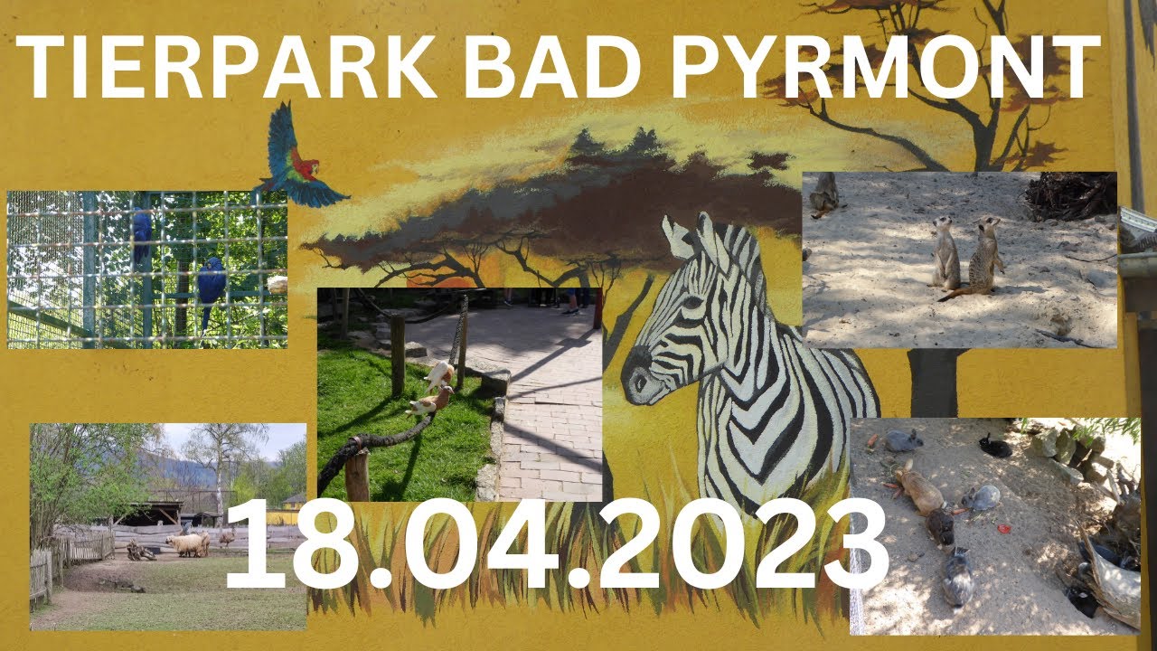 Mein Besuch im Tierpark Bad Pyrmont am 18.04.2023 / We visit the zoo Bad Pyrmont