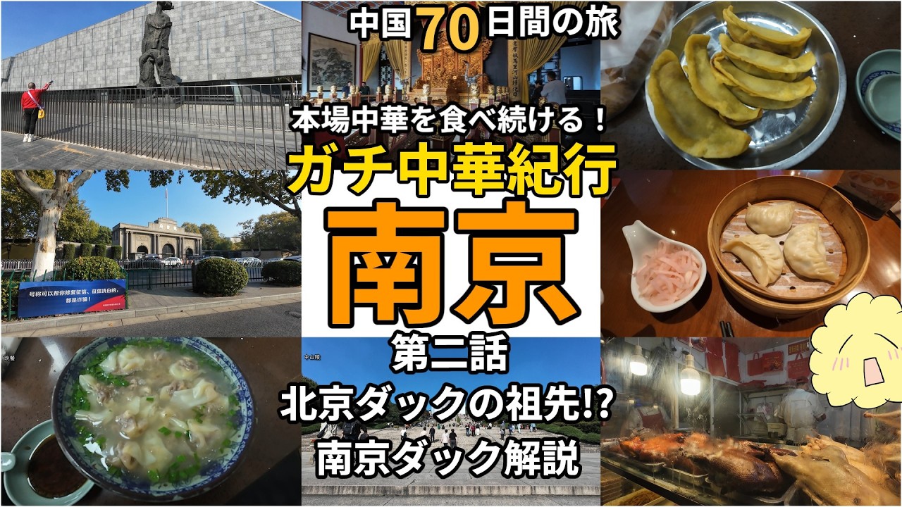 【ガチ中華】南京ダックは北京ダックの祖先！？南京ならではの食べ物紹介！ 南京二日目  【中国70日間の旅】正宗中国菜游记 南京烤鸭 牛肉锅贴 牛肉馄饨
