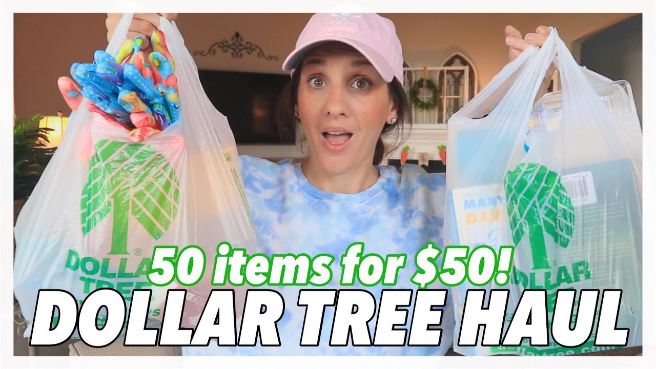DOLLAR TREE HAUL **BRAND NEW $1.00 ITEMS** $50.00 HUGE HAUL | I FOUND MY AUTOBIOGRAPHY