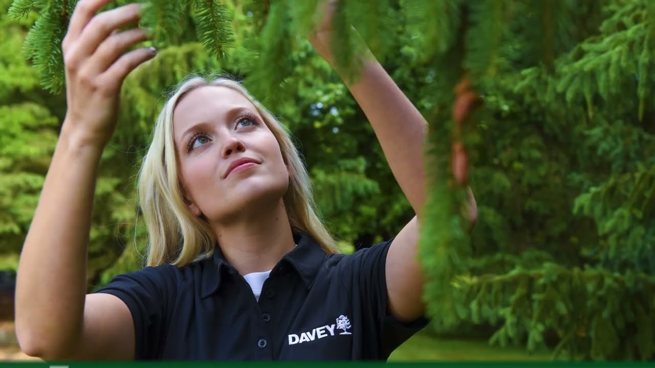 From Healthy Roots to Strong Canopies: What PHC Can Do for Your Yard