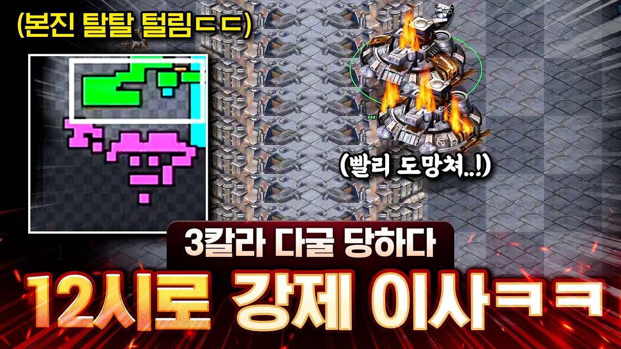 떠돌이 테란..ㅠㅠ 하지만 아직 끝나지 않았습니다! 본 게임은 이사하고 시작입니다