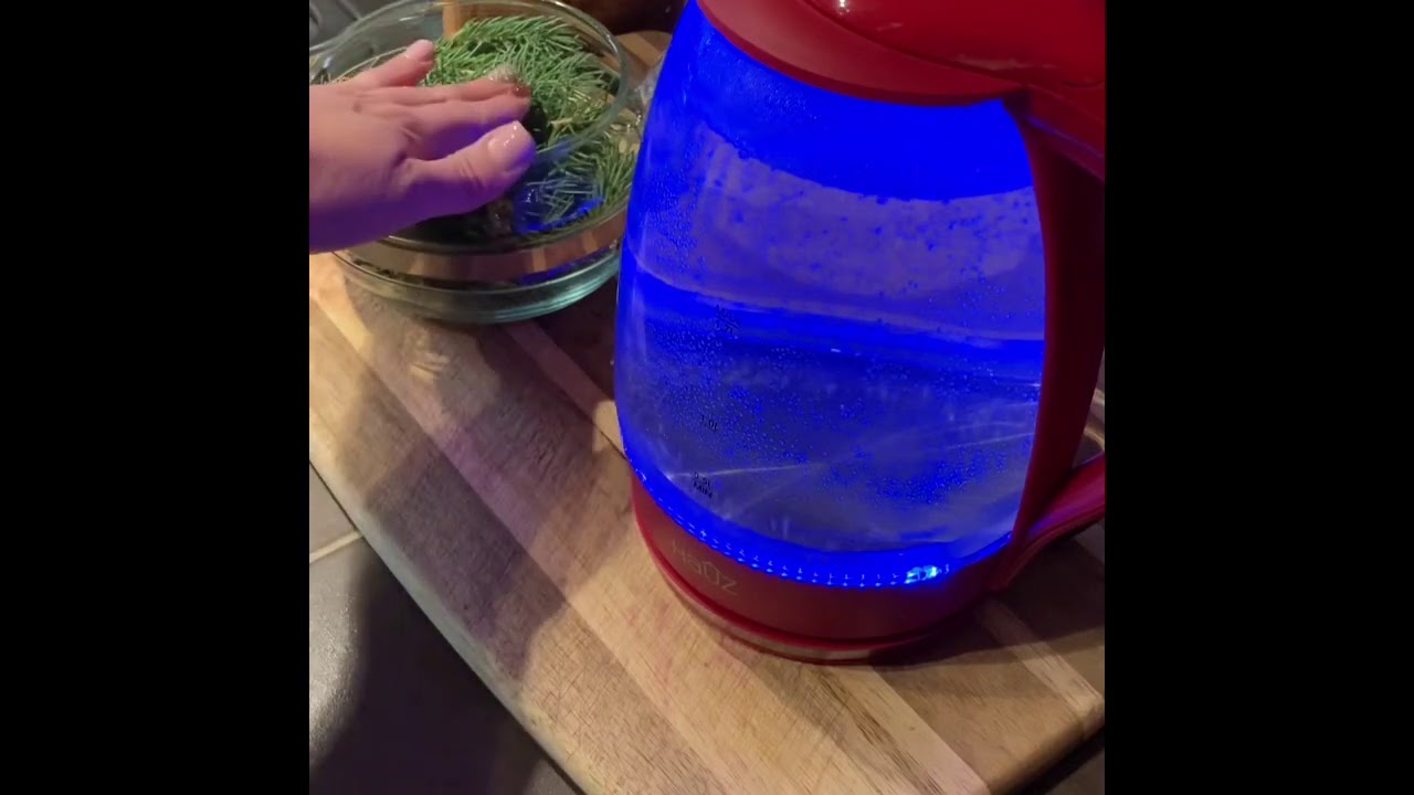 Making Spruce Needle Tea