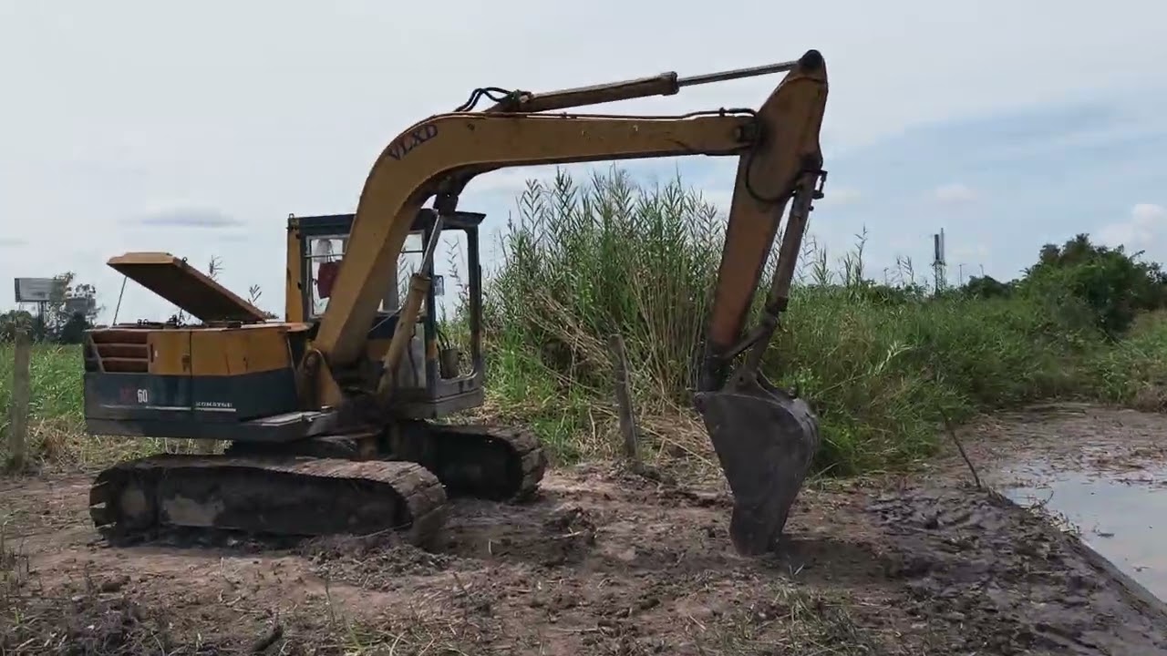 Trước sau gì pháp luật cũng sẽ sờ gáy mấy cái tên đạo chít này thui #funny # Nguyễn Chơn vlog