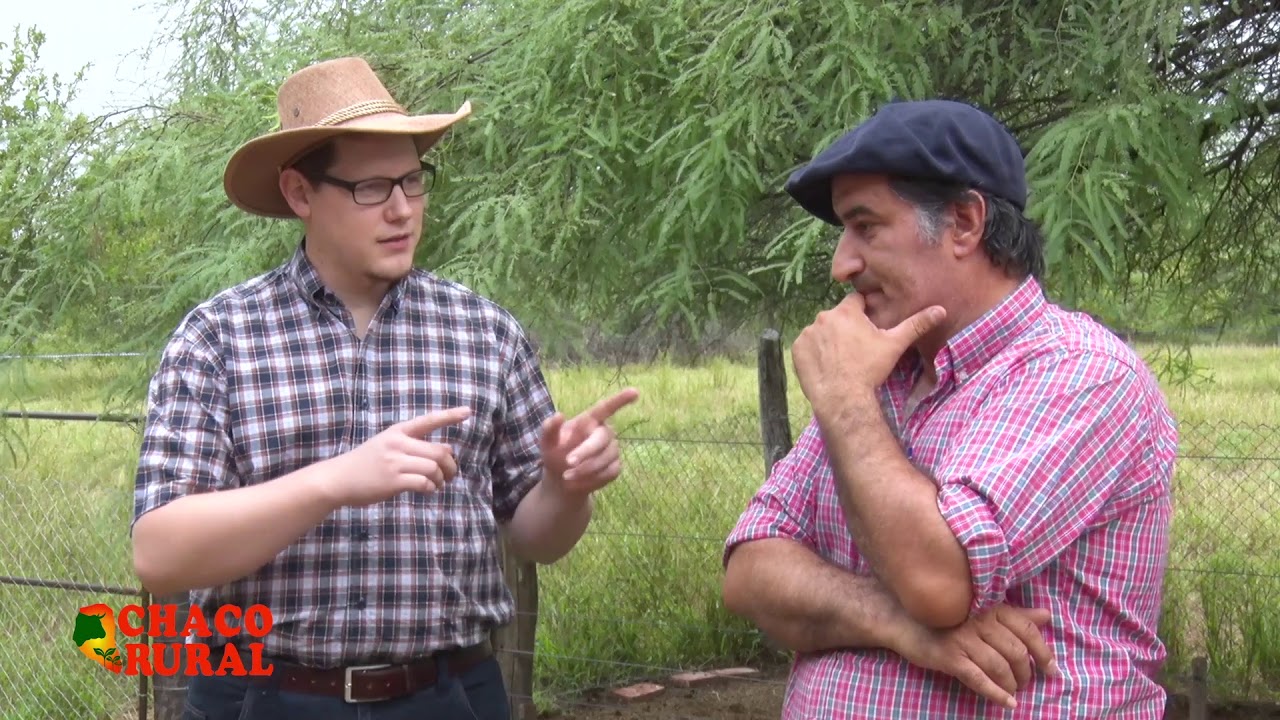 CHACO RURAL 15 03 2019 - TEMA: Ovejas
