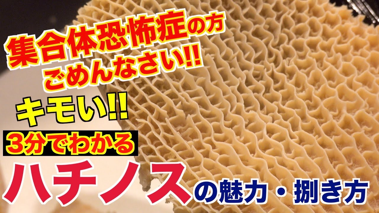 【集合体恐怖症】グロいけど美味い!!ハチノスの捌き方