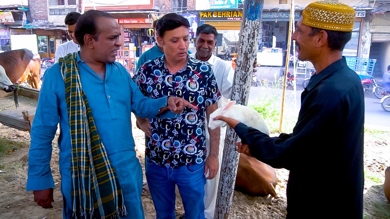Aslam Chitta & Bablu New Comedy Video 2026 | Standup Comedy By Aslam Chitta |