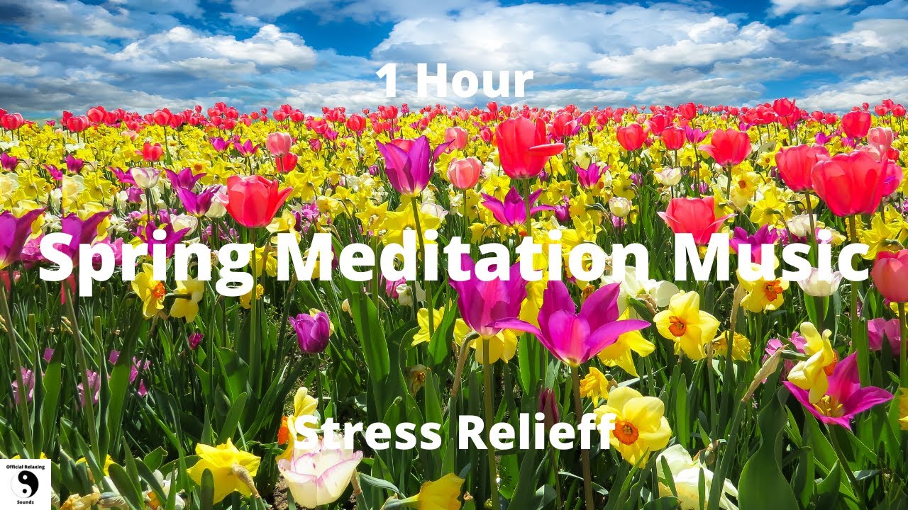 Spring Meditation Music - Beautiful Nature - Nature Sounds - Stress Relief - 1 Hour