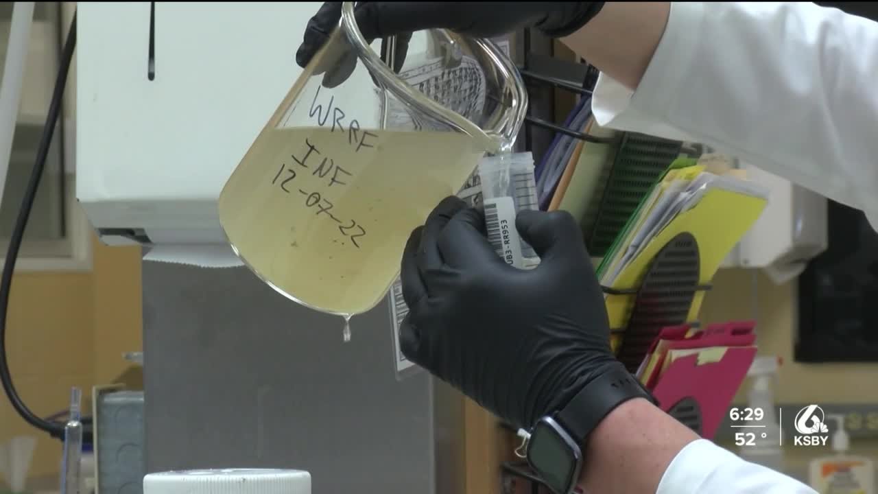 How COVID-19 wastewater testing works