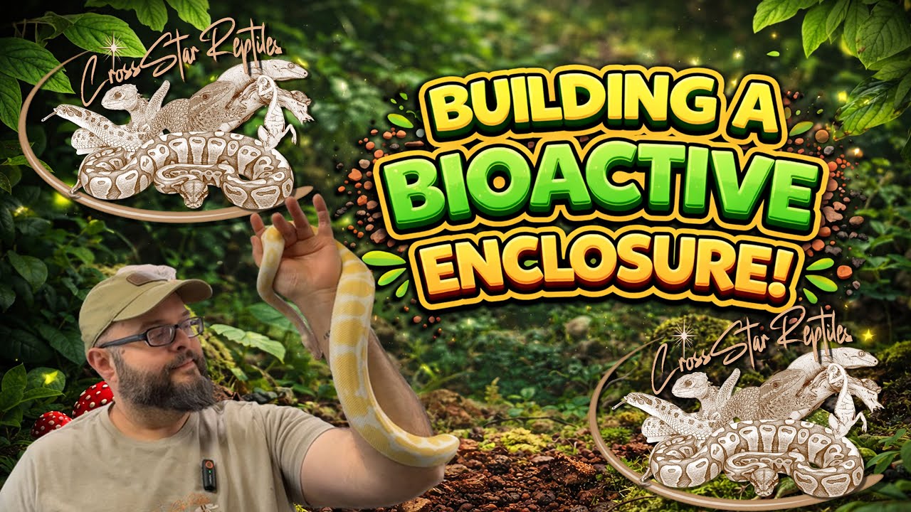 Bioactive Substrate Layers Explained Simply