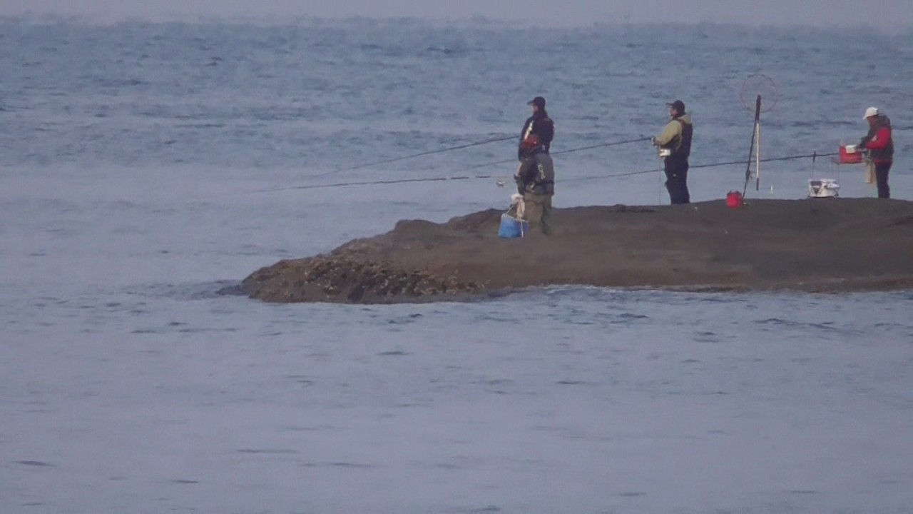 日曜日だけあって釣り人で賑わっている田辺市目良沖磯