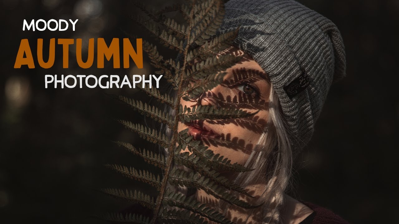Moody AUTUMN Woodland Photography