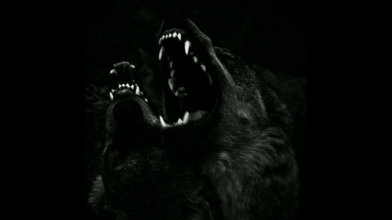 (FREE) Irko & amne type beat - Attack Dogs (PARASIT.)