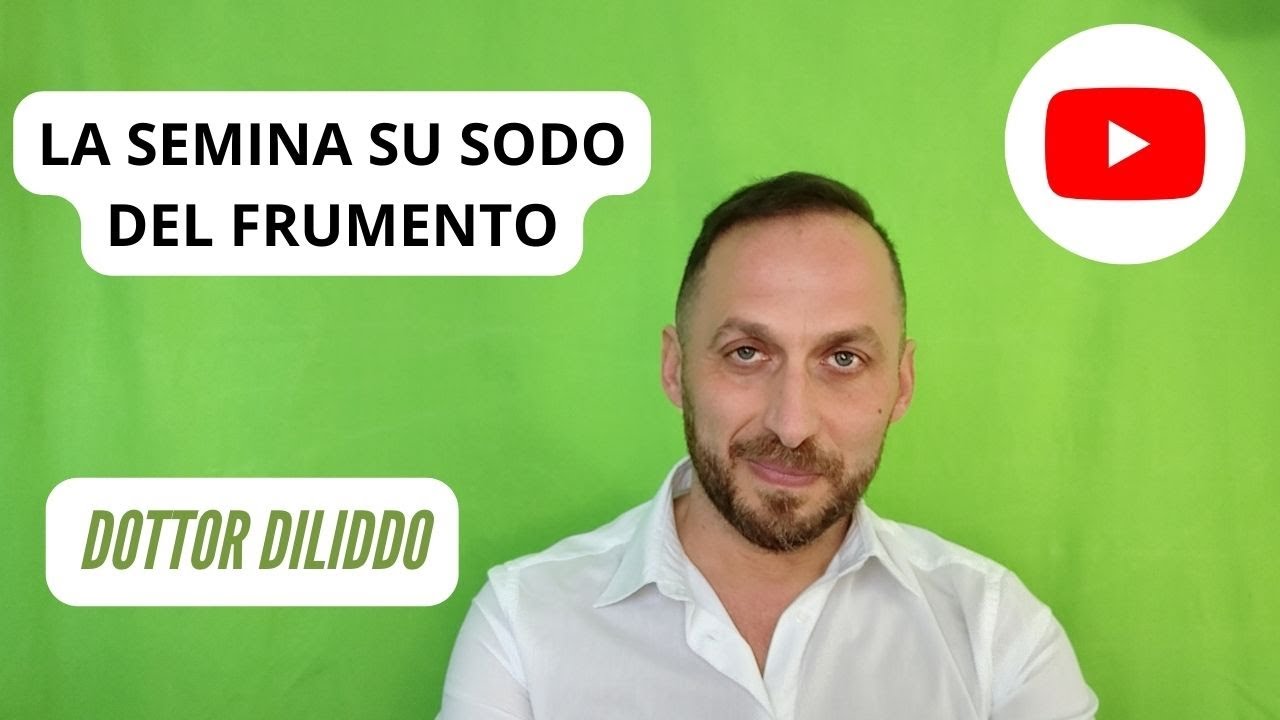 La semina su sodo del frumento