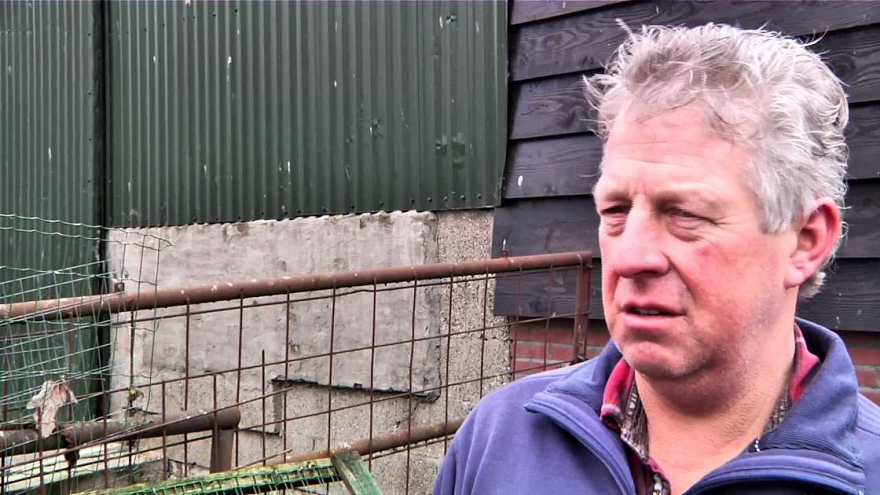 zorgboerderij OnsVerlangen.mov