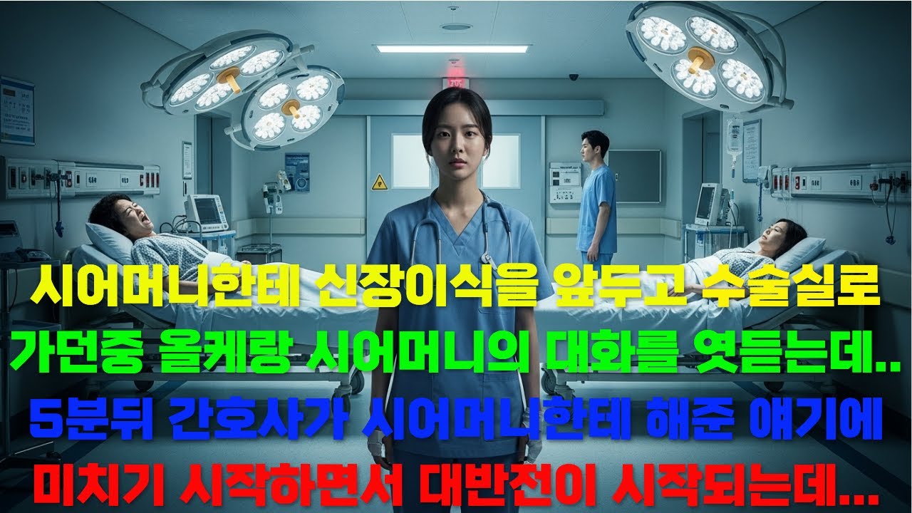 시어머니한테 신장이식을 앞두고 수술실로 가던중 올케랑 시어머니의 대화를 엿듣는데... 5분뒤 간호사가 시어머니한테 해준 얘기에 미쳐 날뛰는데 |극적사연|감동사연|사연라디오|