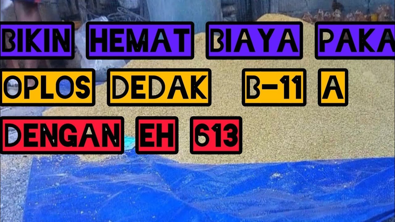 OPLOS PAKAN AYAM PETELUR UMUR 8 MINGGU