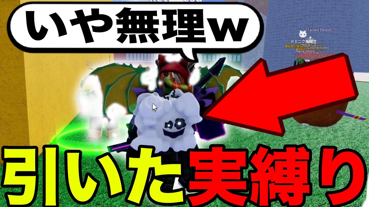 ガチャで出た実だけで戦わせてみた‥ #ブロフル #bloxfruits #ブロックスフルーツ