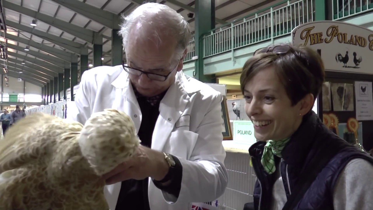 2015 Fed Show (pt 1 of 3)