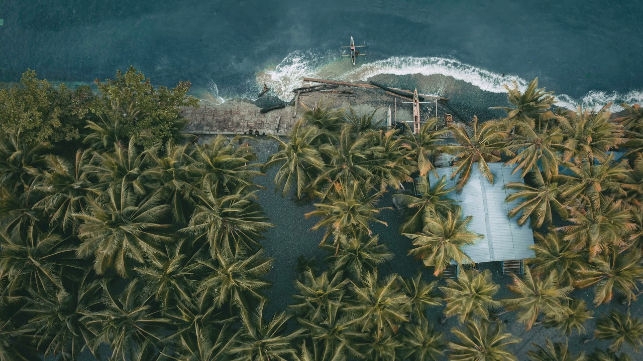 FSOL - Papua New Guinea (Richie Blacker Remix)