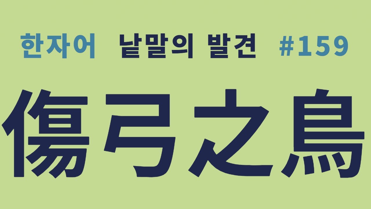 낱말의 발견 #159 상궁지조(傷弓之鳥)... 뜻과 유래?