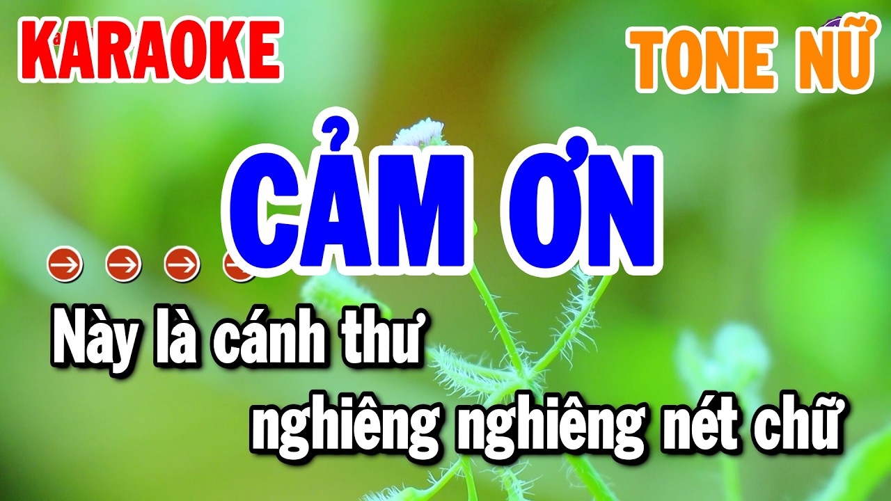 Cảm Ơn Karaoke Tone Nữ Nhạc Sống Dễ Hát Hay | Thanh Hải Organ
