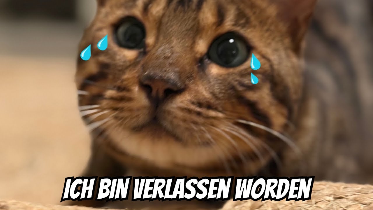Es ist nun Zeit die Stecker zuziehen.. Bye Bye 👋