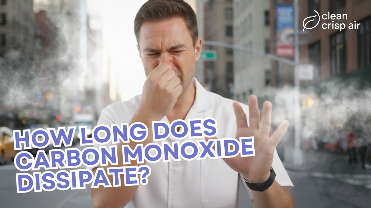 How long does it take for Carbon Monoxide to Dissipate?
