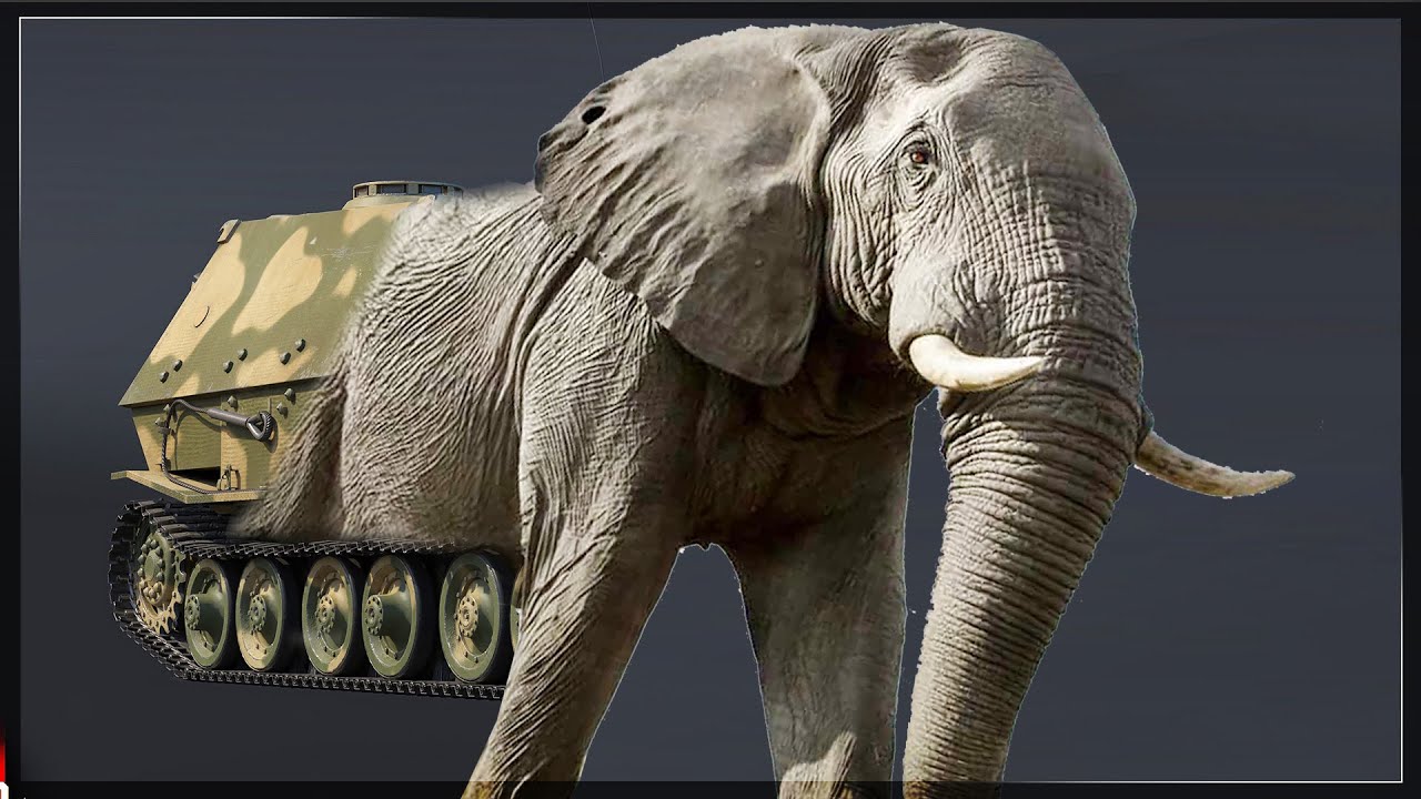 ELEPHANT TIME TRAVELS TO THE COLD WAR | Elephant German TD