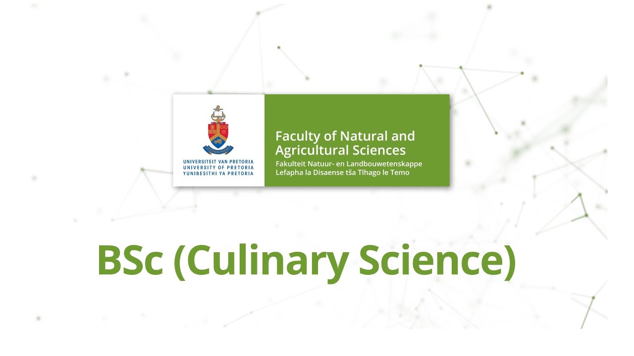 UP BSc (Culinary Science)