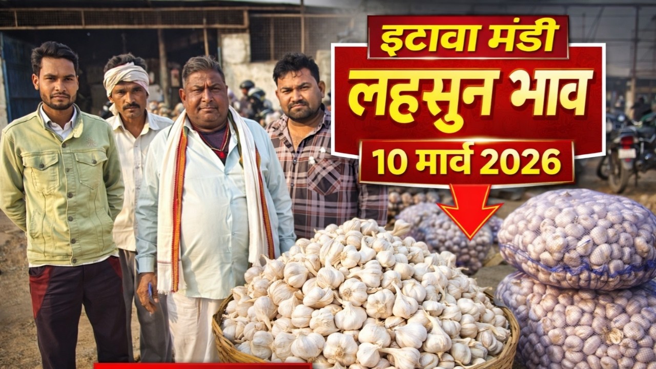 इटावा मंडी लहसुन भाव | आज का ताजा लहसुन रेट | 10 मार्च 2026 🧄