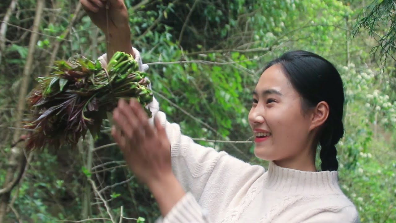 Мы должны есть Toona sinensis весной! ｜Пасторальная жизнь пары в Сычуани
