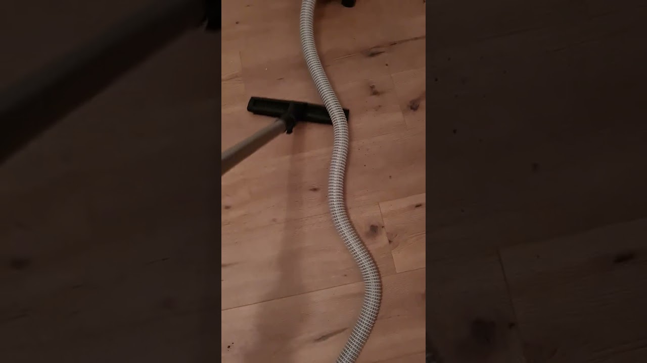 Hetty+Transparent hose. 