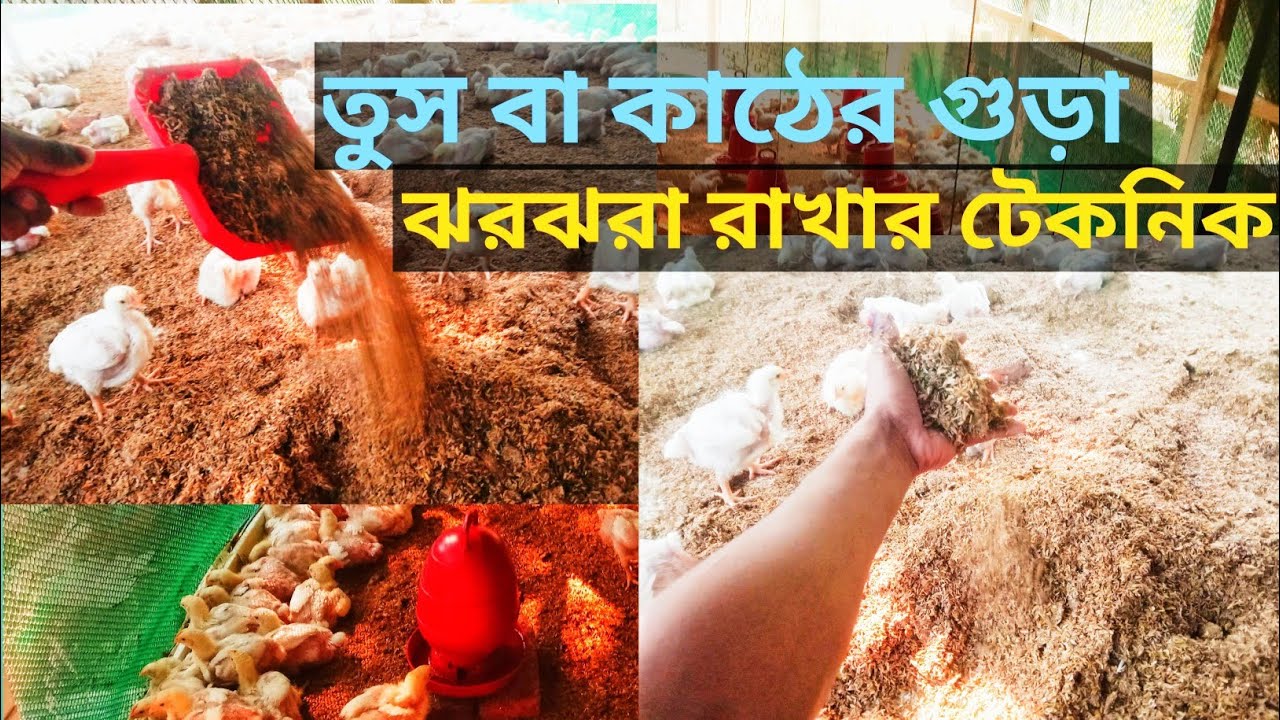 তুস বা কাঠের গুড়া ঝরঝরা রাখার টেকনিক তুস যেভাবে ঝরঝরা রাখবেন