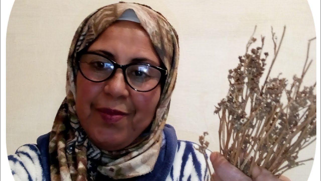 عشبة للحمل المتؤخر عند المراة وطاردة للجن والمس والشاطين في البيت@