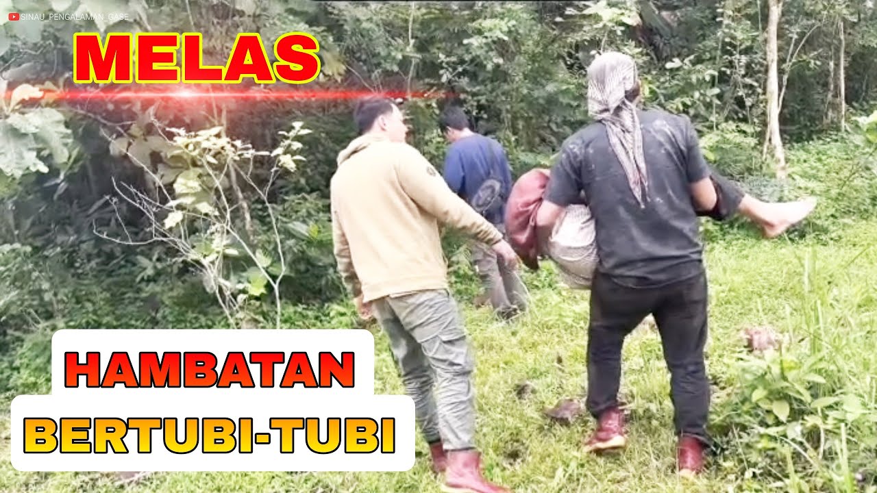 🔵THE BEST KIWARSO #ganangsetioko #teamgase  #pengalamangase