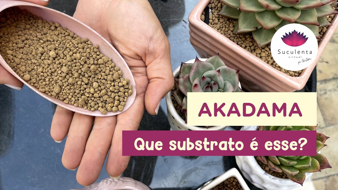 Episódio 58 - Substrato Akadama