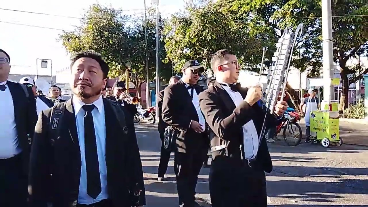 Venid y vamos todos🎶🎵 Virgen de Candelaria 2026.