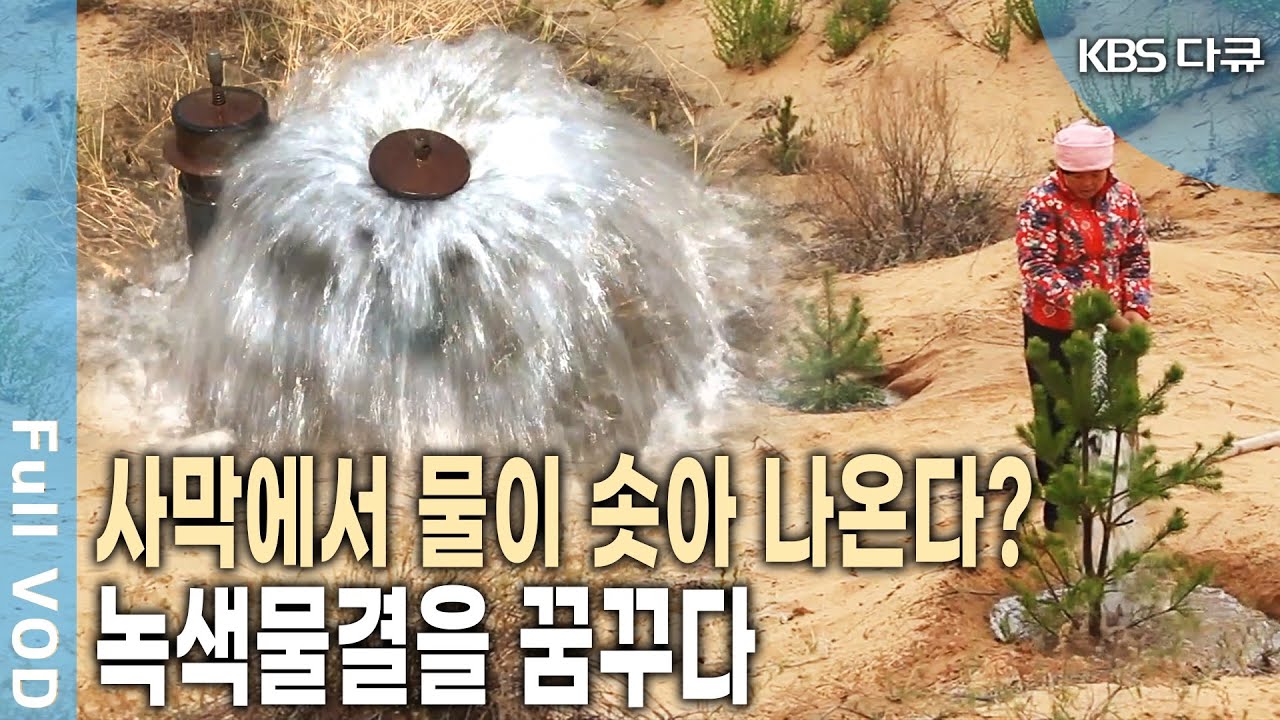 인간의 탐욕이 황색 모래바람을 만들었다! 몽골 사막 위에 녹색 물결을 만들기 위한 노력 | 잃어버린 오아시스 | KBS 20111013 방송