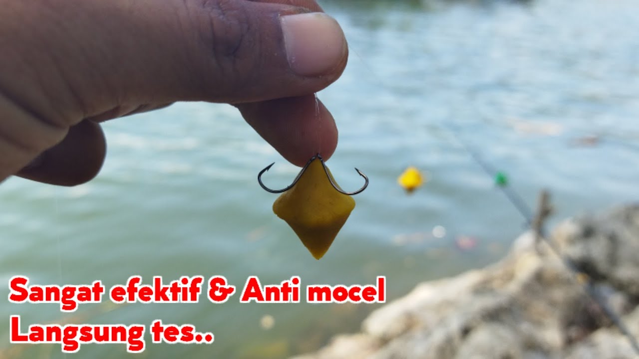 Rangkaian pancing ikan belanak | mullet fhising | efektif & anti mocel