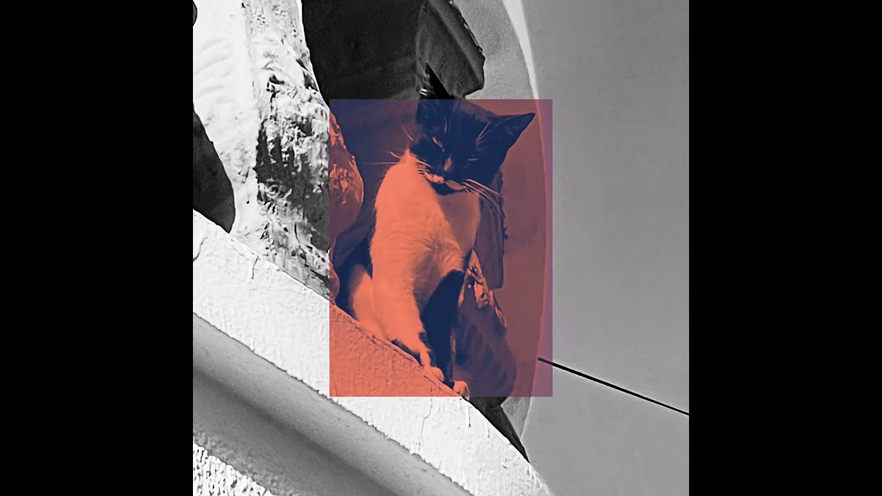 Trap Arabic Hip Hop/Rap Type Beat Freestyle"Bastet" (Sampel type Beat) 2025 Beat