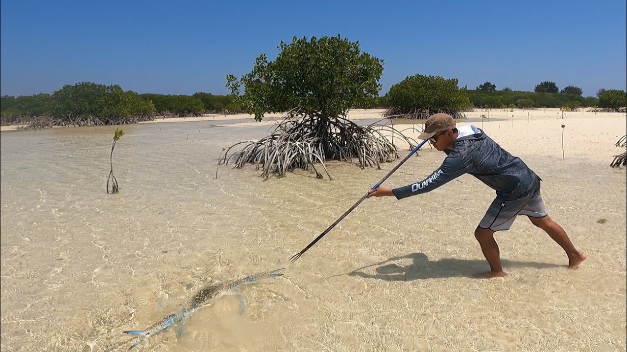 Menombak ikan dan Giant Blue Crab hasil melipah langsung masak & makan di pantai