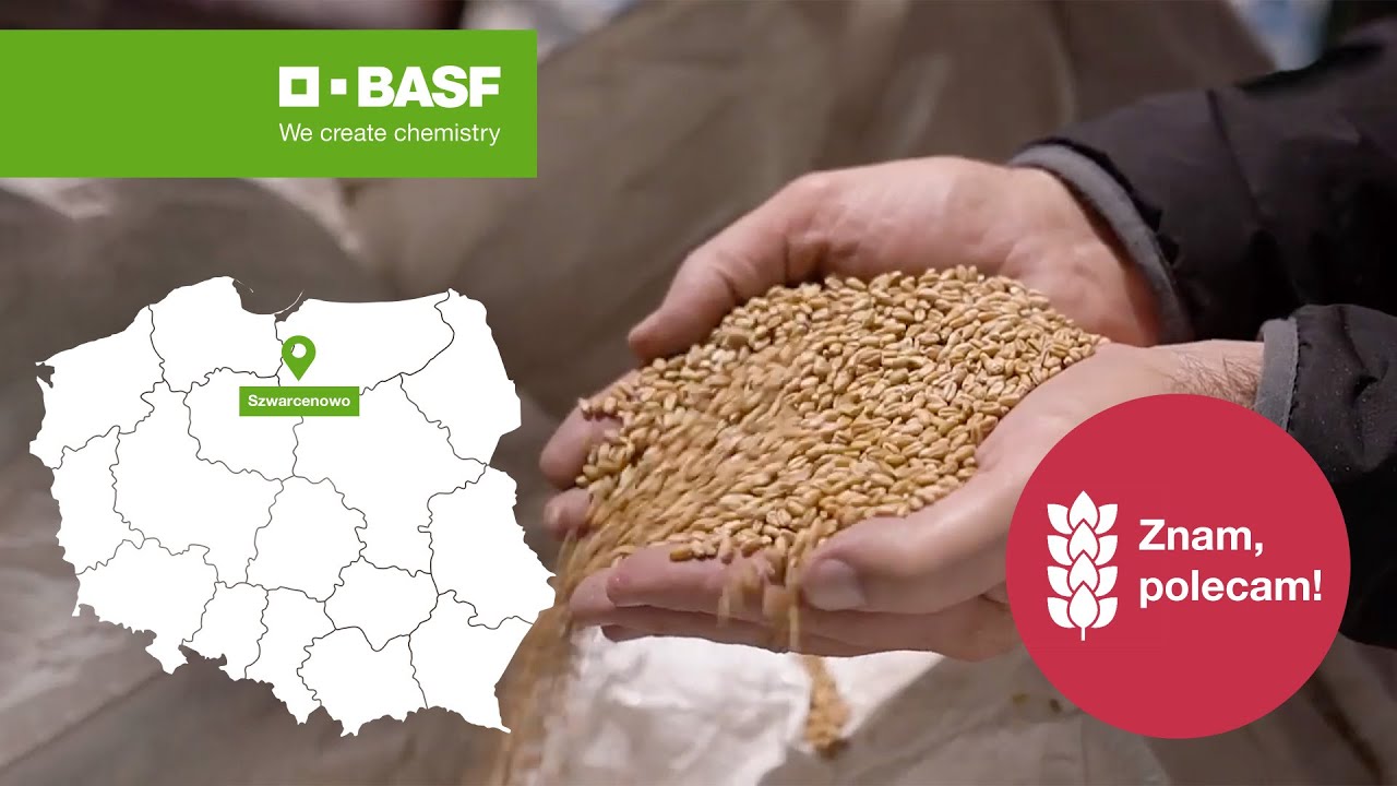 Zobacz fungicyd na zboża Systiva&reg; 333 FS &ndash; zaprawianie pszenicy ozimej i jęczmienia ozimego