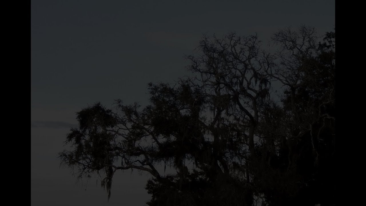 SHAKEWELL x MTM TYPE BEAT - RECON - PROD. CLOVER