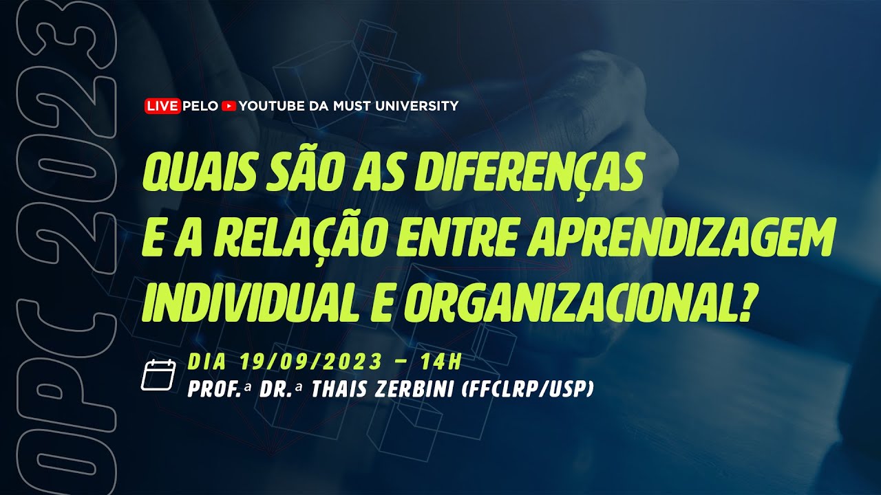 Palestra Thais Zerbini - APRENDIZAGEM INDIVIDUAL E ORGANIZACIONAL