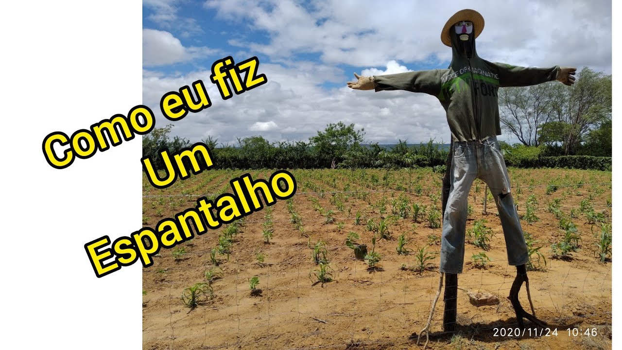 espantalho de lavoura