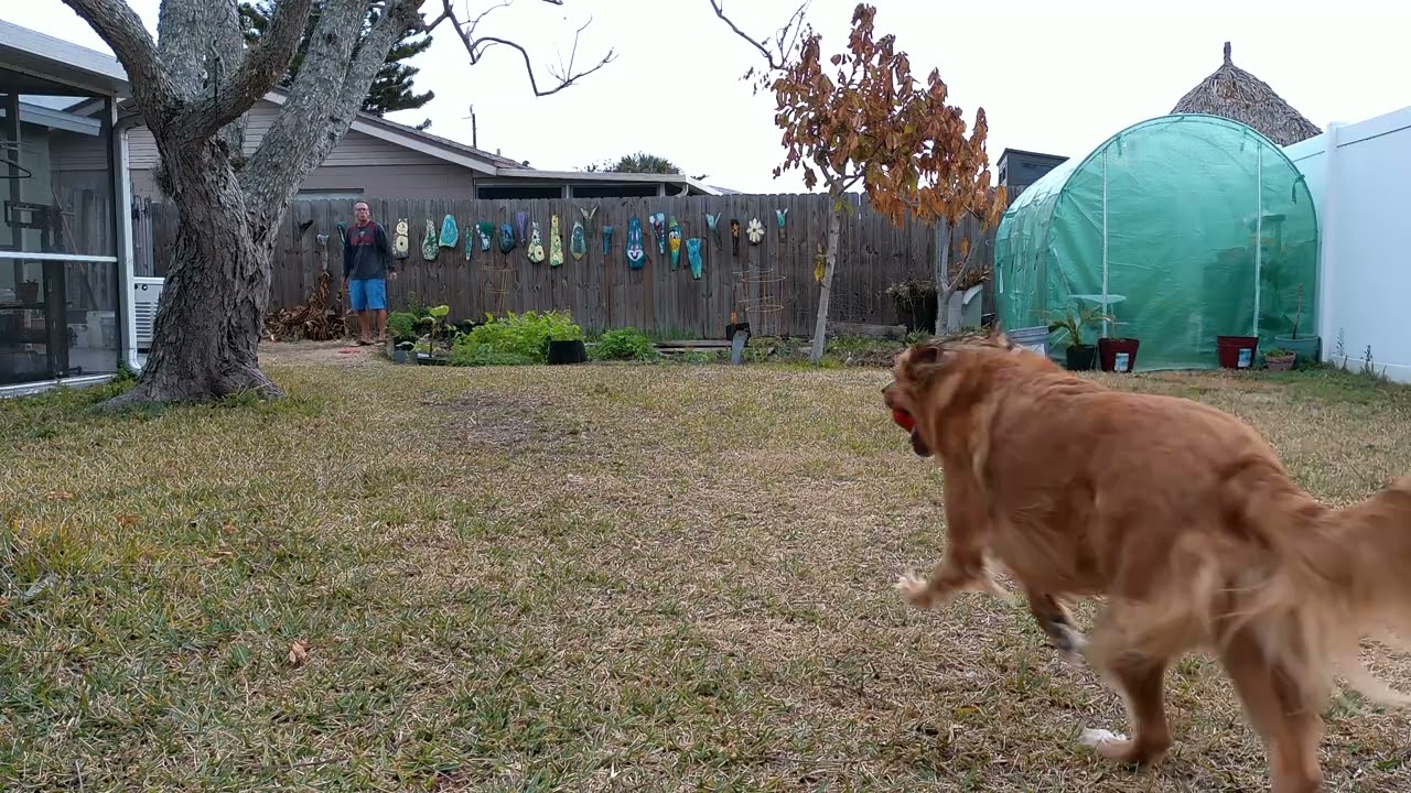 Fetching Foxy 77 Says May the force be with you
