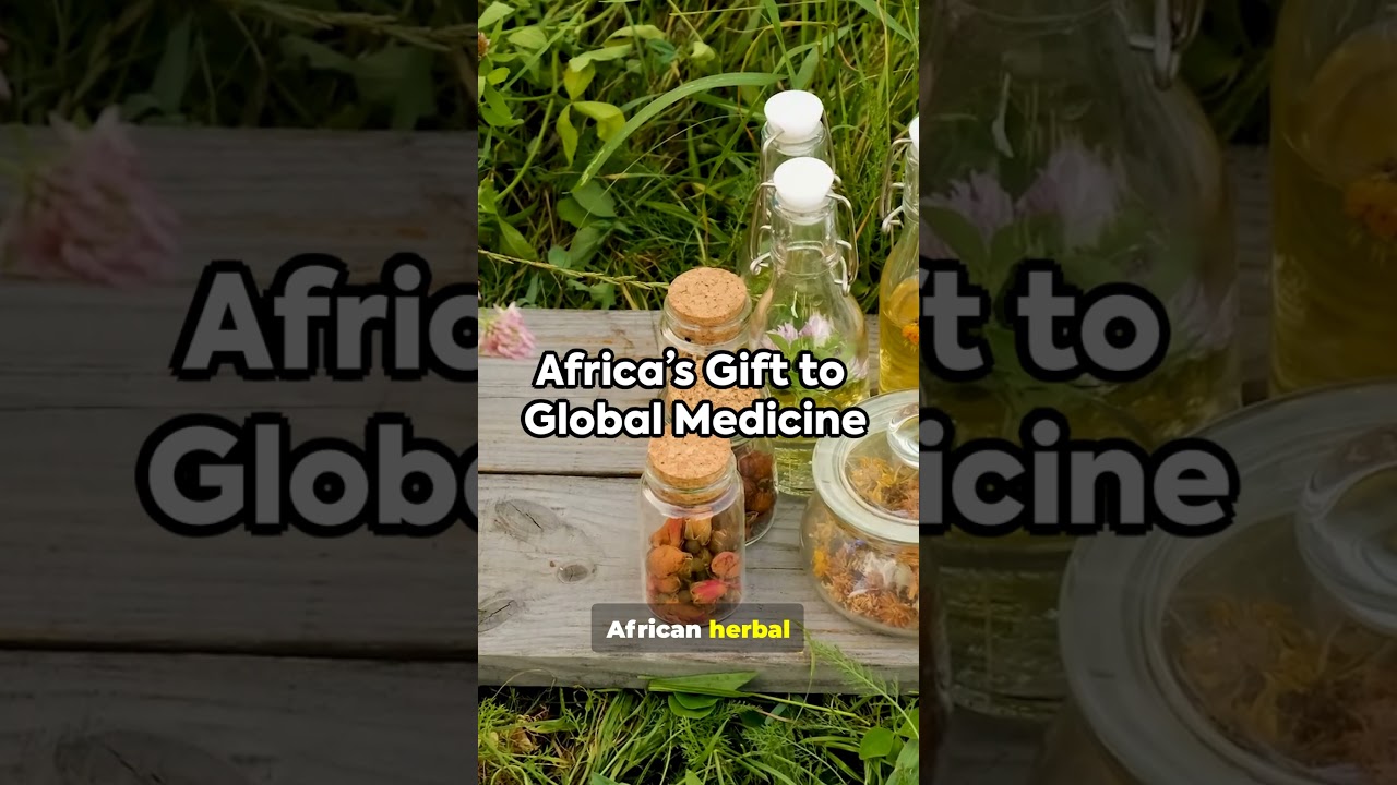 How Ancient African Remedies Still Heal the World