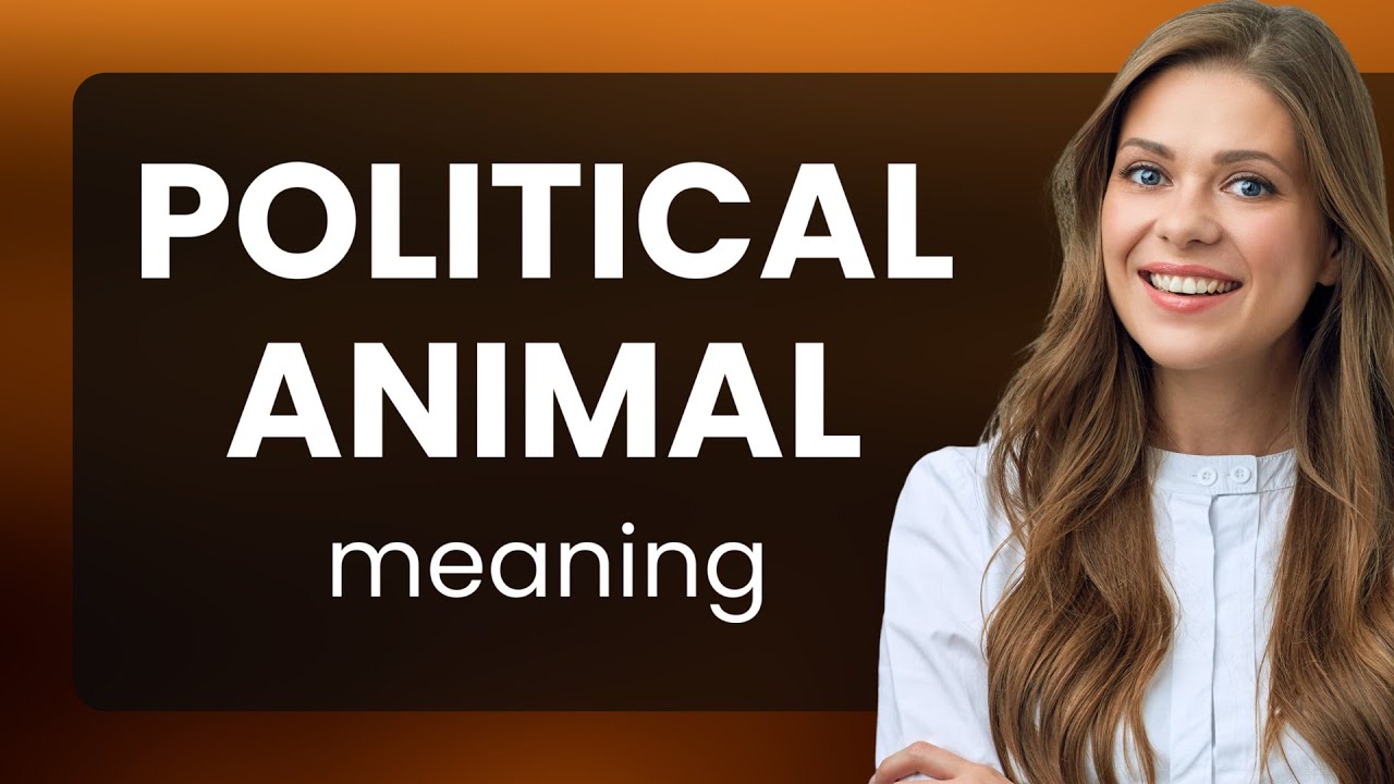 Understanding the Phrase 
